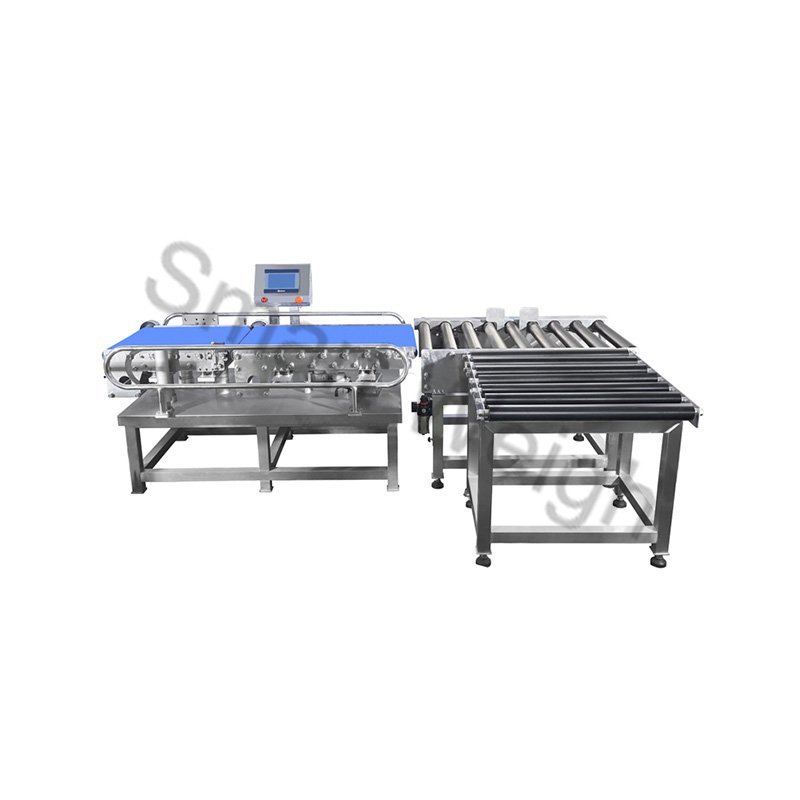 Smart Weigh Smart Weigh SW-C500 Checkweigher Inspection Machine image3